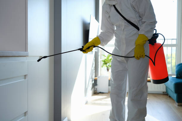 Mold Removal and Inspection in Sugar City, ID